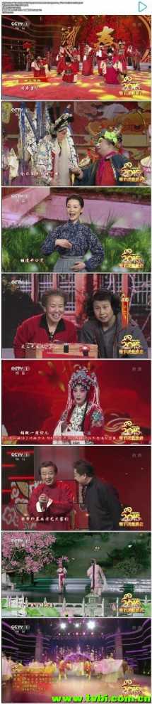 2015中央电视台戏曲晚会